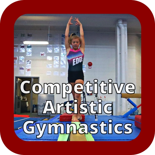 Competitive Gymnastics 